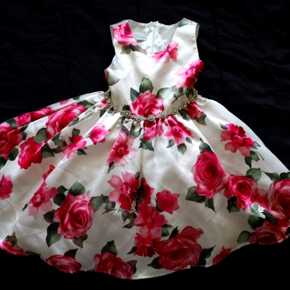 Girls Dress - Picture 1 of 2